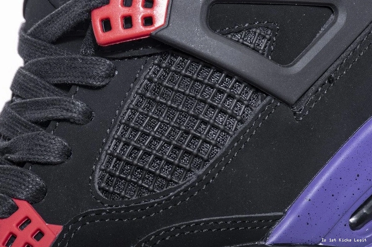 Jordan AQ3816-056 4 Air Raptors 0104